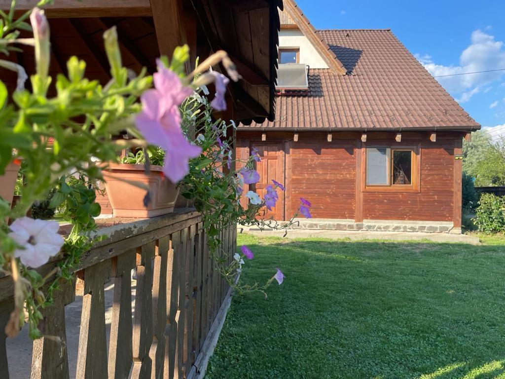 Pensiunea Rares Bistrita Bargaului Exteriör bild